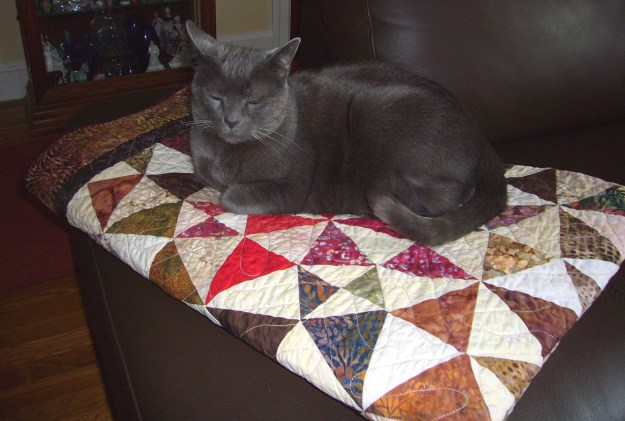 White Glove to Gray Fur